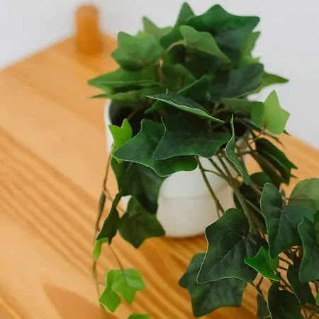 Cantal By Cardi Apartman Sallent de Gállego