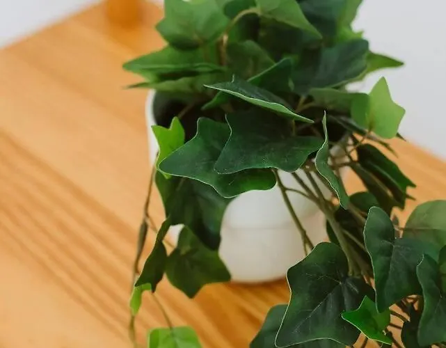 Cantal By Cardi Suites. Apartamento Sallent de Gállego